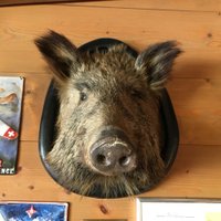 ChrisCrosbie (@chriscrosbie) 's Twitter Profile Photo