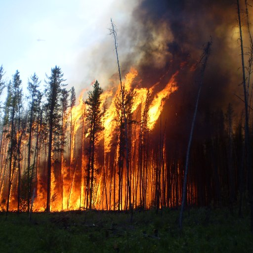 Canadian Partnership to study wildland fire science and address priority research needs by creating a fire science hub. IG: @canadawildfire