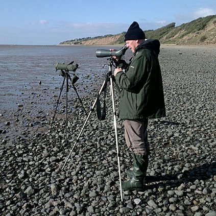 Birdwatcher all my life, dee estuary birds website manager, obsessive colour ring spotter - particularly Knots and Black-tailed Godwits.