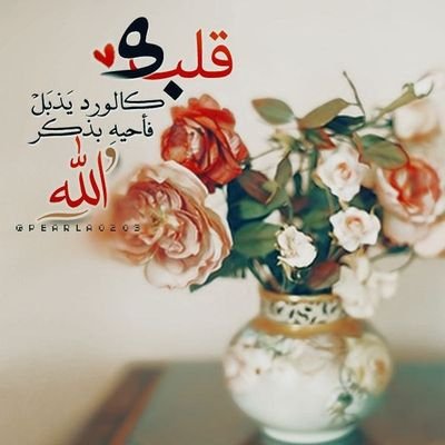 yJpDCHcCfgdVvPS's profile picture. مهما بلغت ذنوبك، وطال تسويفك، وكثر اسرافك بالمعاصي على نفسك؛ لربك يفرح بتوبتك واستغفارك.