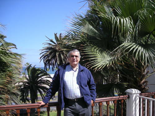 Picture
