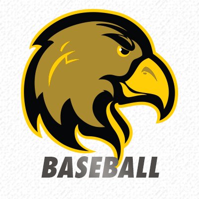 The official Twitter account of Cal State LA Baseball.
Instagram: @calstatelabb 
#WeAreLA