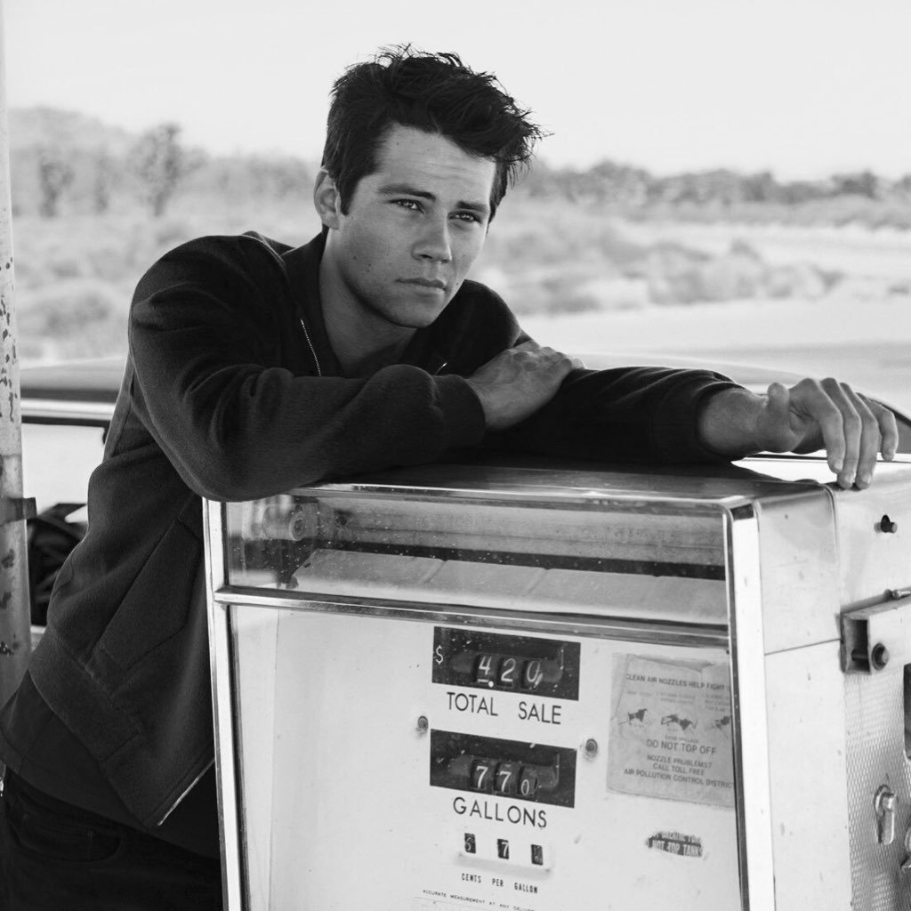 nogitsuneternal's profile picture. I'm a little dysfunctional, don't you know?