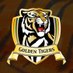 Golden Tigers (@RFCGoldenTigers) Twitter profile photo