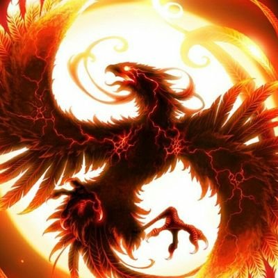 zaidkhatib4's profile picture. 