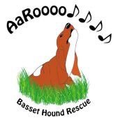 Aaroooo Basset Hound Rescue