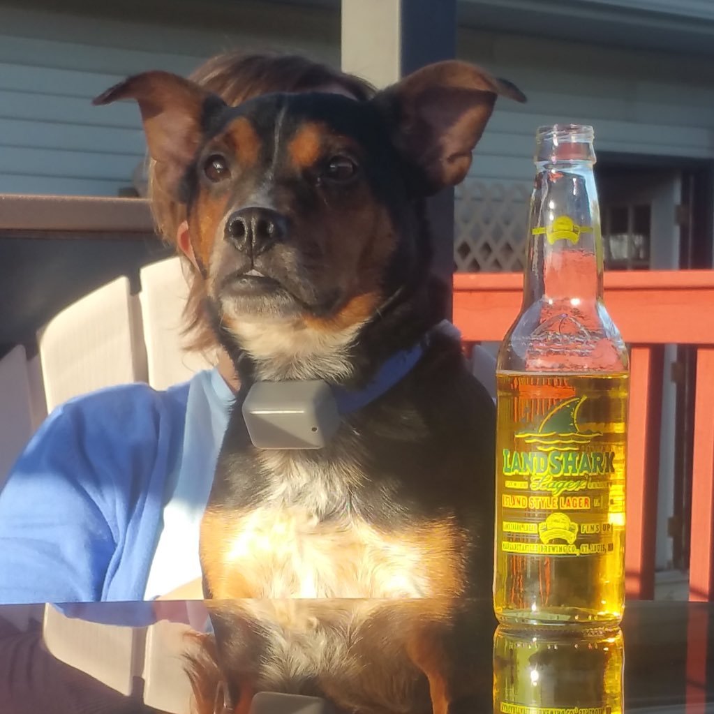 Ridenour21's profile picture. I can do anything, through him who gives me strength! -Phil 4:13