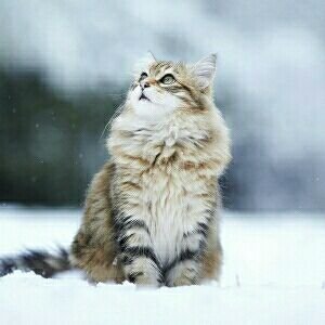 BMKmHnQDLuII097's profile picture. 混沌とした社会になってきてますが、将来は明るくなると信じたいです。