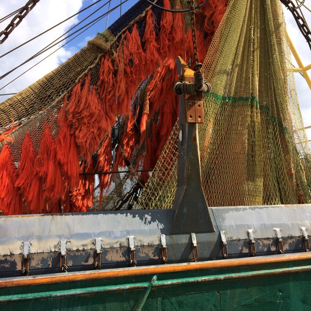 MariBassie's profile picture. ZZP'er. Met een journalistieke achtergrond en ervaring in het bedrijfsleven help ik organisaties met contentmarketing.