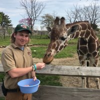 Brendan Widner (@brendan_widner) 's Twitter Profile