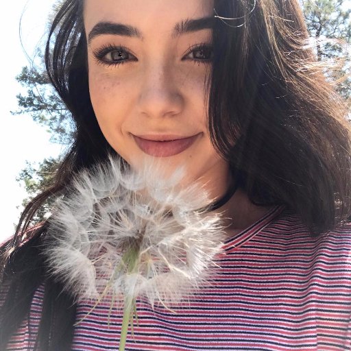 CalliopeFairyDR's profile picture. sugar, spice & everything nice