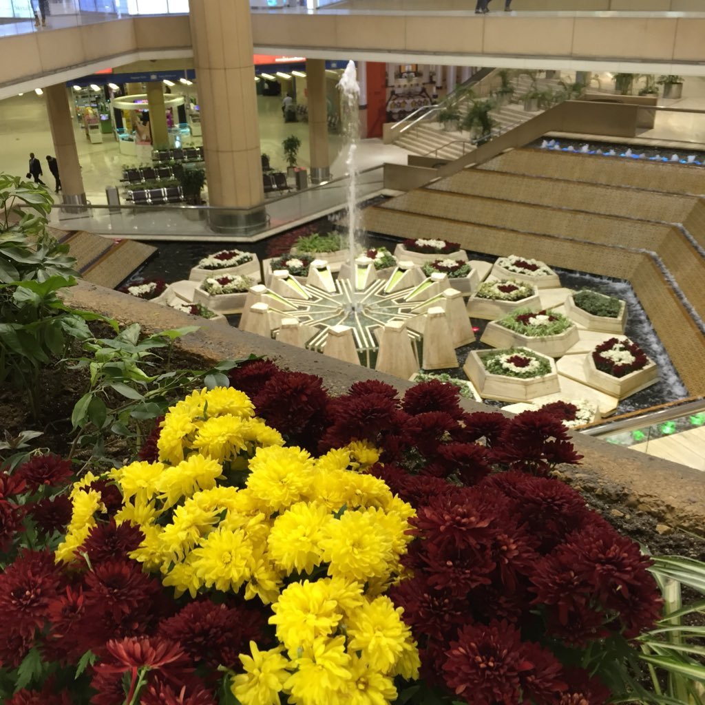 TariqAli2018's profile picture. 