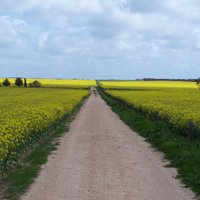 EP Agriculture (@epag100) 's Twitter Profile