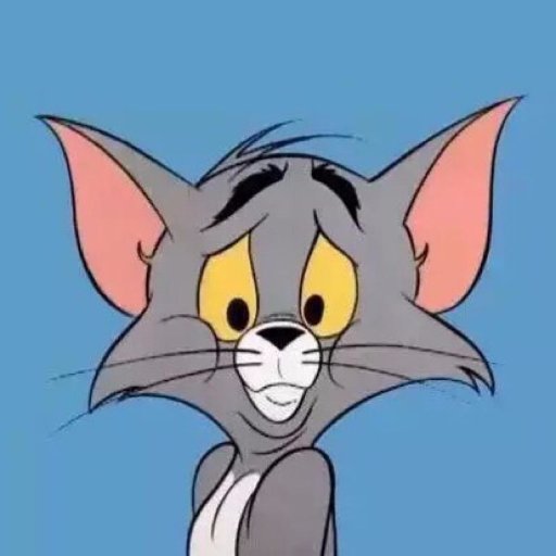 tomgao365's profile picture. 