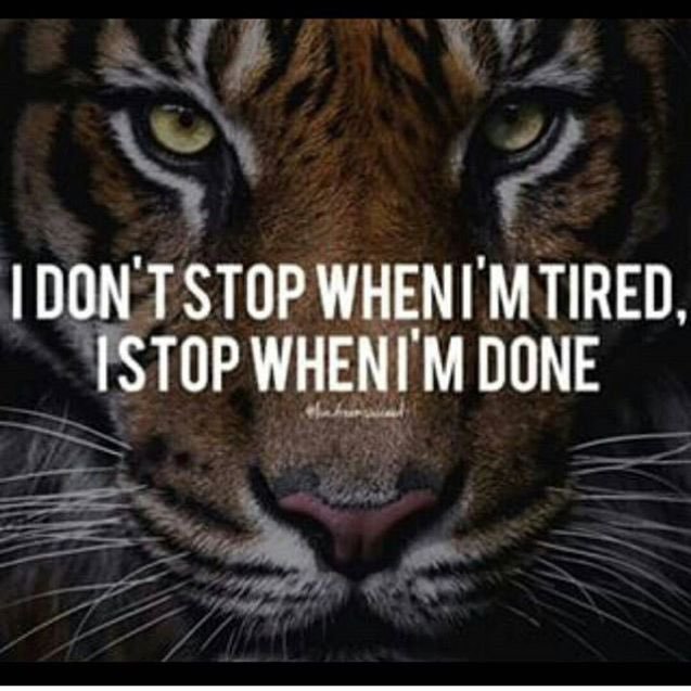 All Army Softball Head Coach, 2023 Undefeated 10-0 Gold Medal 🥇USA All Armed Forces Head Coach. Challenge yourself physically, mentally and spiritually daily.