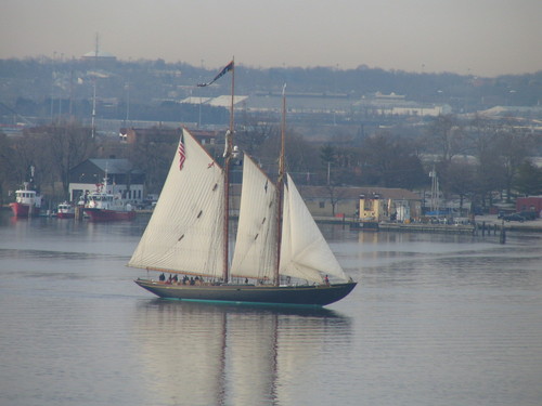 Baltimore Harbor Watershed Association