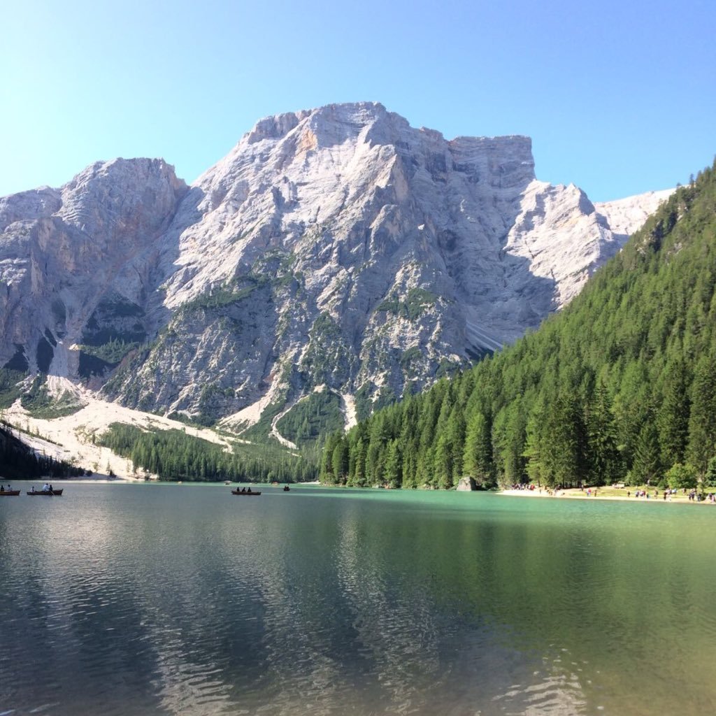 segre79's profile picture. 