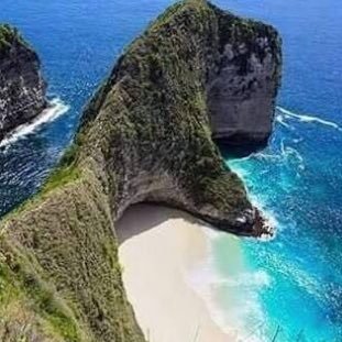 nusapenida_tour's profile picture. Bali Nusa Penida Tour Package