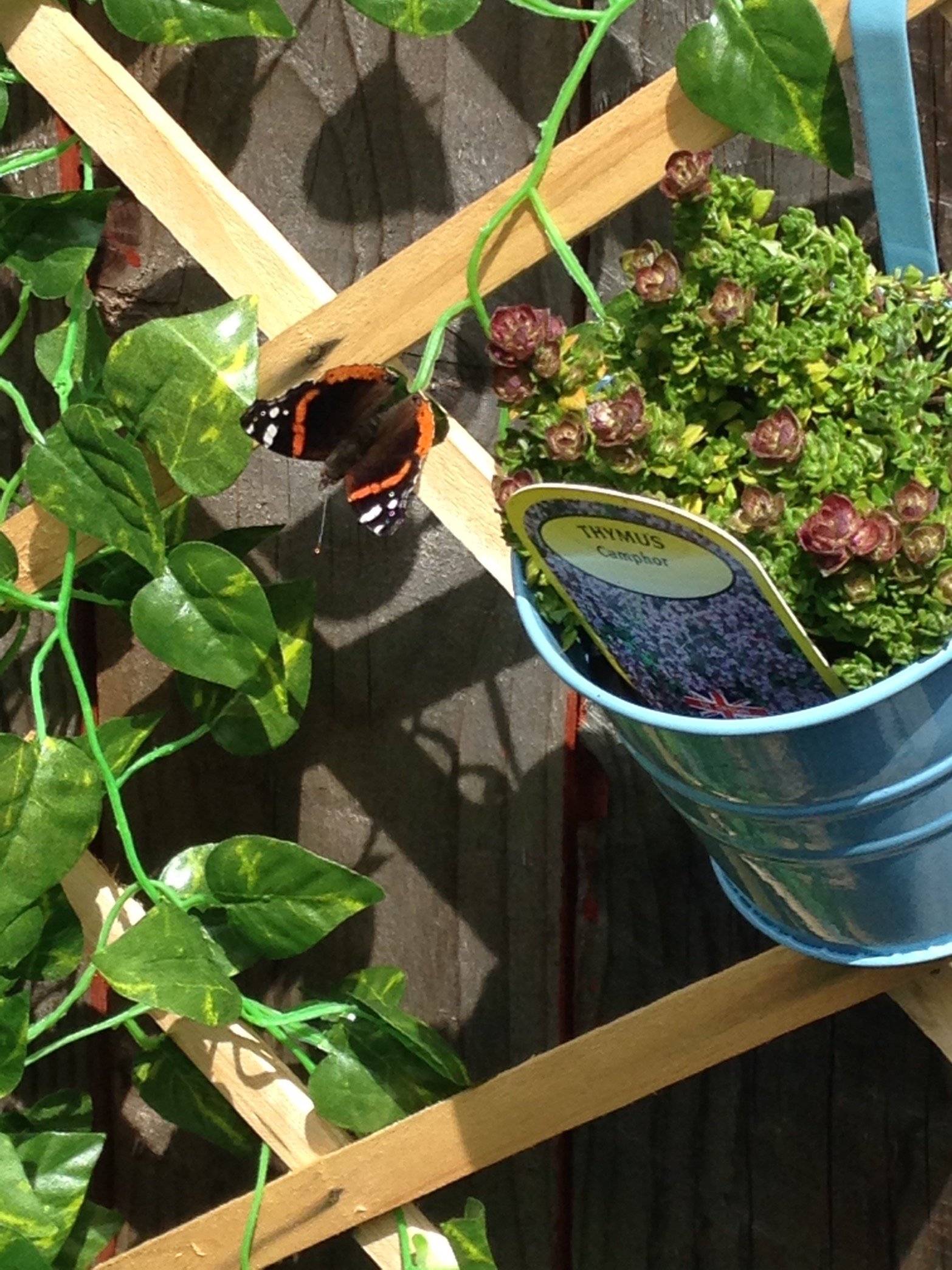 M3200_jomm's profile picture. Be kind. Be you.                                                Counsellor, BSc Hons Psychology.