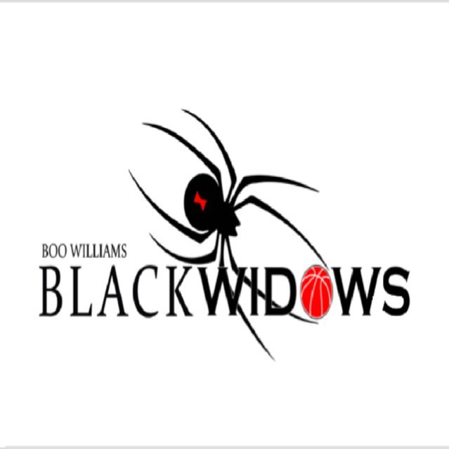 BWSL BLACKWIDOWS