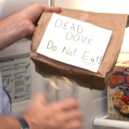 TrishaD819's profile picture. 