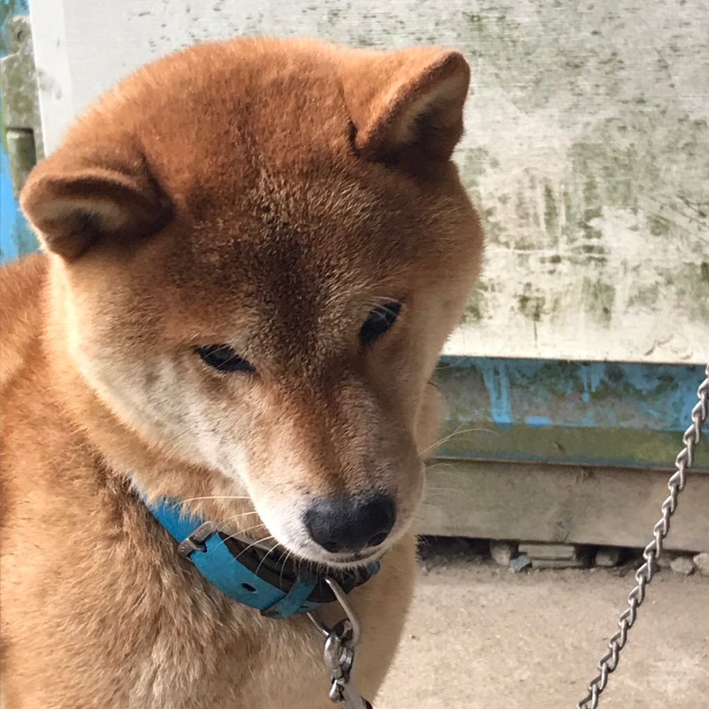 新たにもっかい始めます！！笑笑 今は色々と忙しいので出来ませんが出来次第また言いますね！！