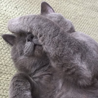 sofieleutheria's profile picture. 