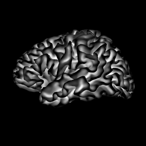 Decision Neuroscience Laboratory | Center for Brain, Biology & Behavior | University of Nebraska-Lincoln | https://t.co/SIS4UpHmwr