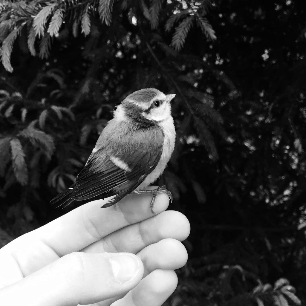 MehnertJame's profile picture. 