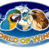 World of Wings(@world_of_wings) 's Twitter Profile Photo