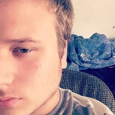 kravesteve's profile picture. 