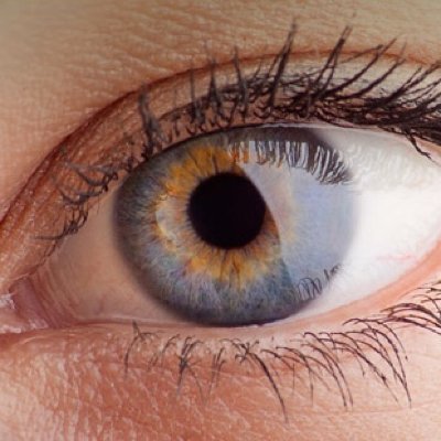 Better ophthalmalogy and human design factors for engineers, better orthology for designers, better universal design orthography for universal language support.