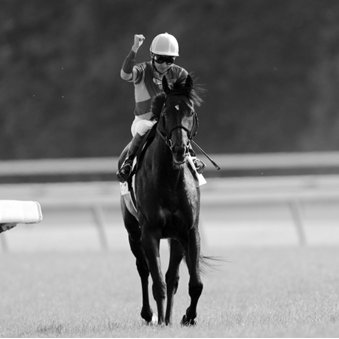 QuinellaInc's profile picture. 競馬予想歴20年ほどの馬連予想です。 朝のオッズと発走前のオッズに着目した理論でレース選定しています。追い上げ投資ですが、回収率210%になるよう買い目分配していますので一日収支はプラスです。2016年度はマイナス収支の日はありません。馬連の軸馬は約レース10分前に公開。買い目は回収率210%以上を想定した馬連流しです