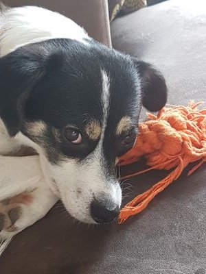 jon_pound's profile picture. Grumpy sod, who sadly only really uses Twitter to call out bad service.  Wish there were more examples of great service.