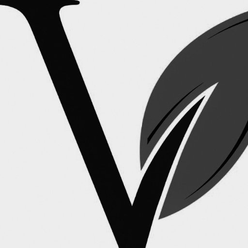 Vgreenlife, a local UT business, specializes in selling accessories for sophisticated wine drinkers.