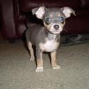 Jason Duren - @Dozer_AT4 - Twitter