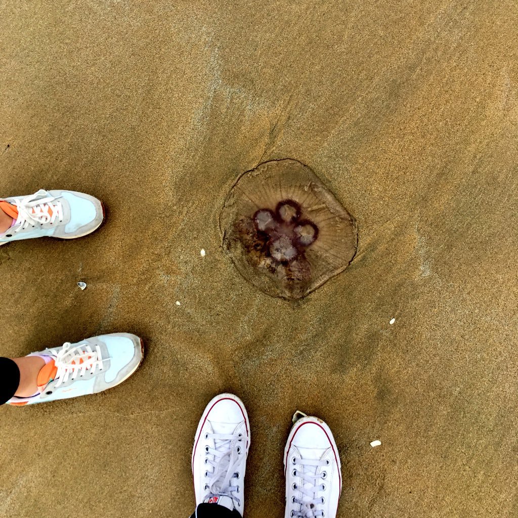 TaraBur2806's profile picture. 