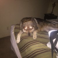 JE (@llanoflash01) 's Twitter Profile
