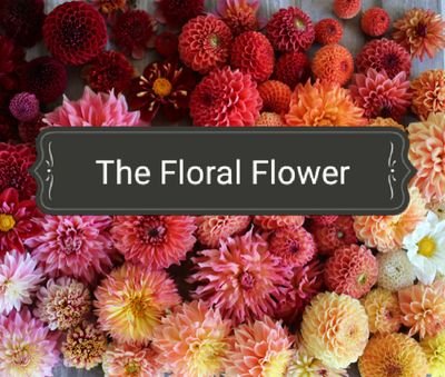 The Floral Flower is a brand new makeup and lifestyle blog for makeup tips and more! Check us out at https://t.co/iAG22KaBoB