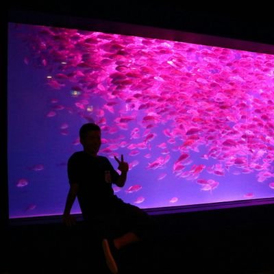 pawaever's profile picture. 早稲田大学教育学部教育学専修→同大学教育学研究科学校教育専攻→同大学同研究科教育基礎学専攻
