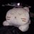 ネコタソのアイコン