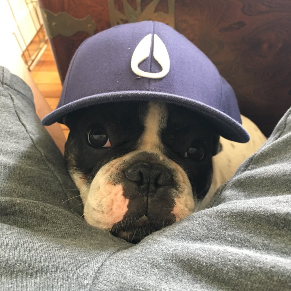 robinnch's profile picture. je vis ma vie au dépend de moi-même.