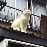 yusuke (@yusuke79817794) 's Twitter Profile