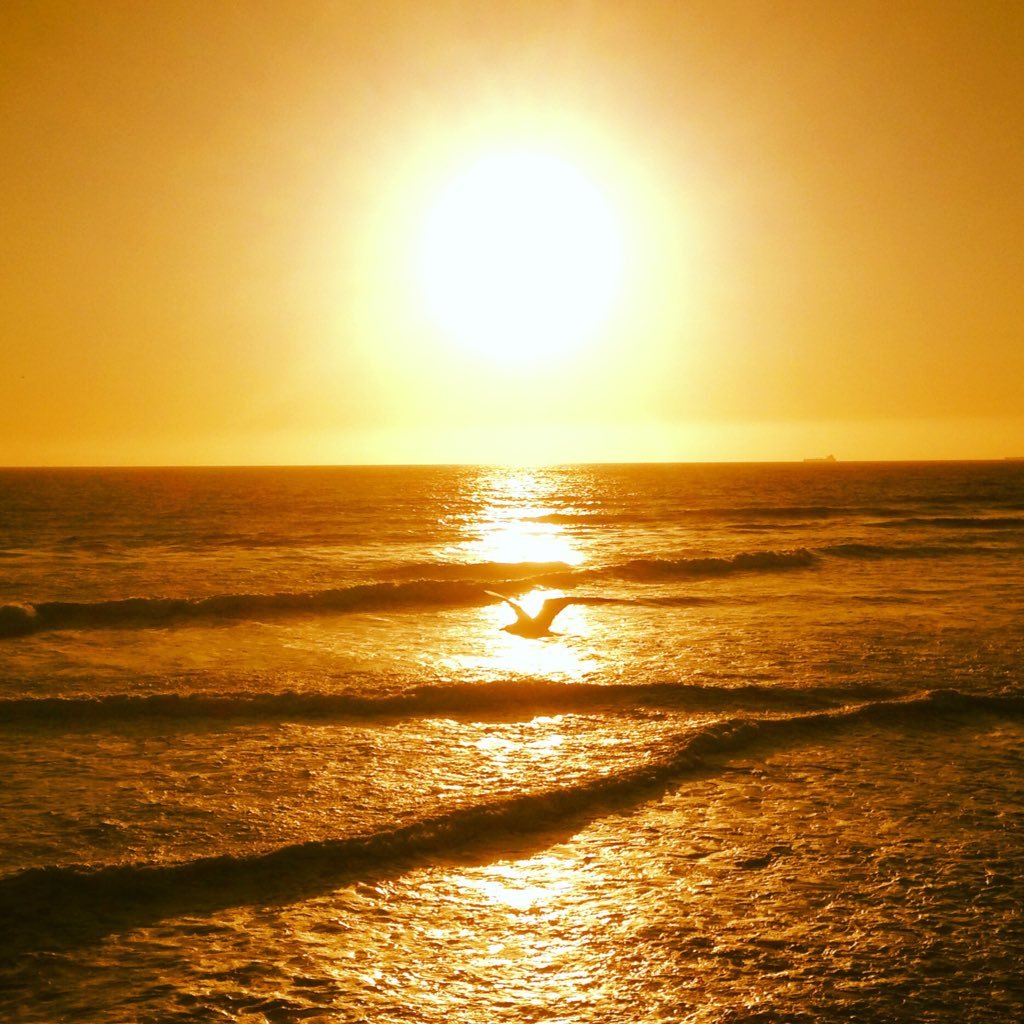 LeoLuera's profile picture. Keep evolving forward, upward and do it with integrity.