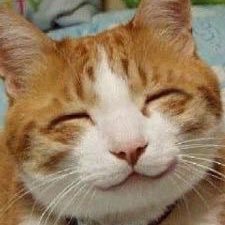 zw6vc's profile picture. 