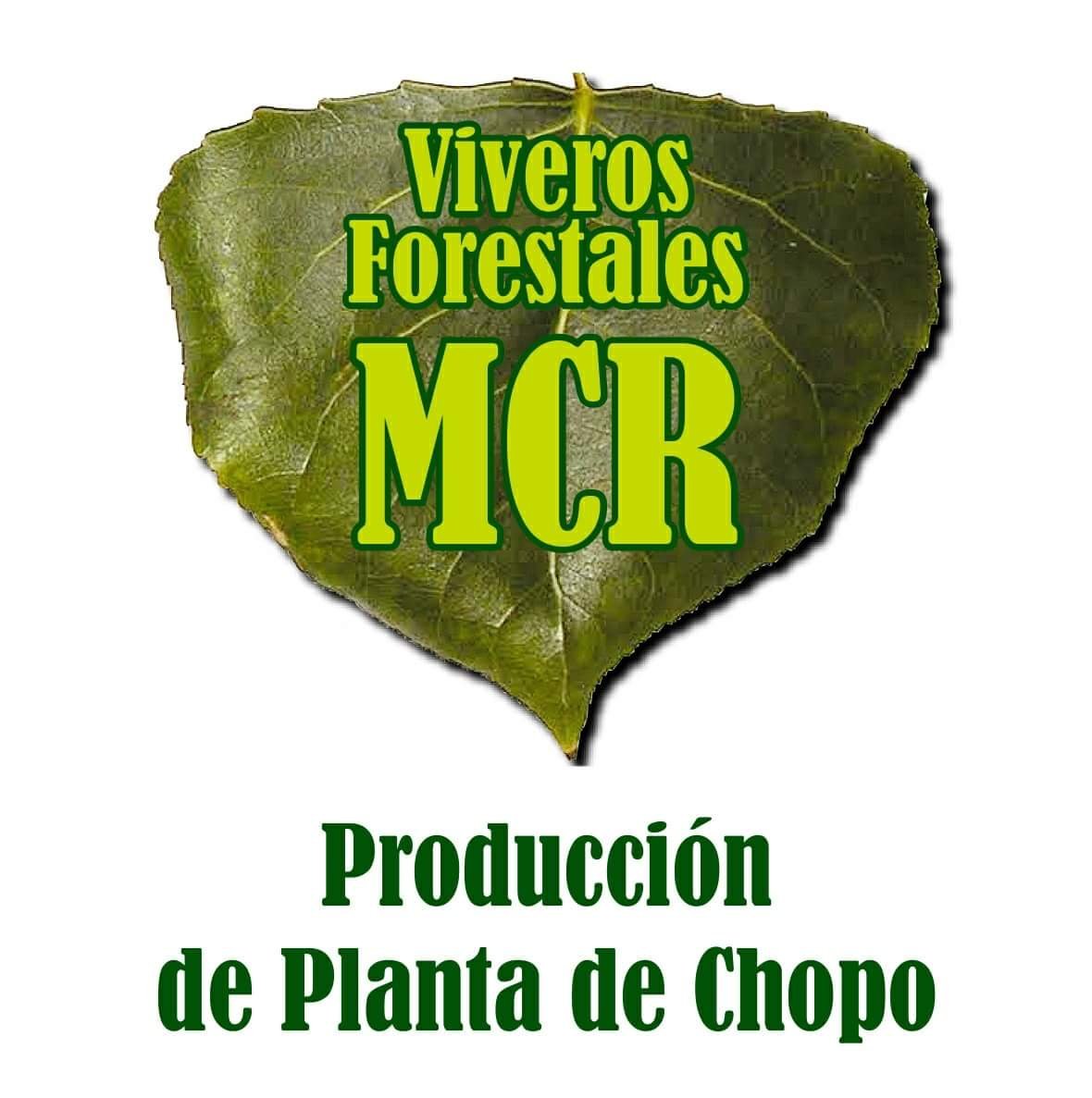 VIVEROS MCR