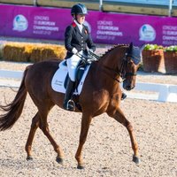 Erin Orford(@EOrfordDressage) 's Twitter Profile Photo