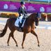 Erin Orford (@eorforddressage) Twitter profile photo Erin Orford (@eorforddressage) Twitter profile photo
