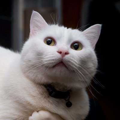 あやしげ【ワクチンMMPP接種済】 (@aysg180) / Posts / X