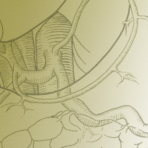 clents's profile picture. + art + science + learning + helping + laughing + mothering + eating + learning + cycling + prayer + trees +